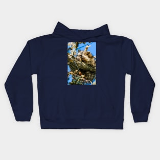 Cute Sleepy Raccoon in a Tree Photograph Kids Hoodie